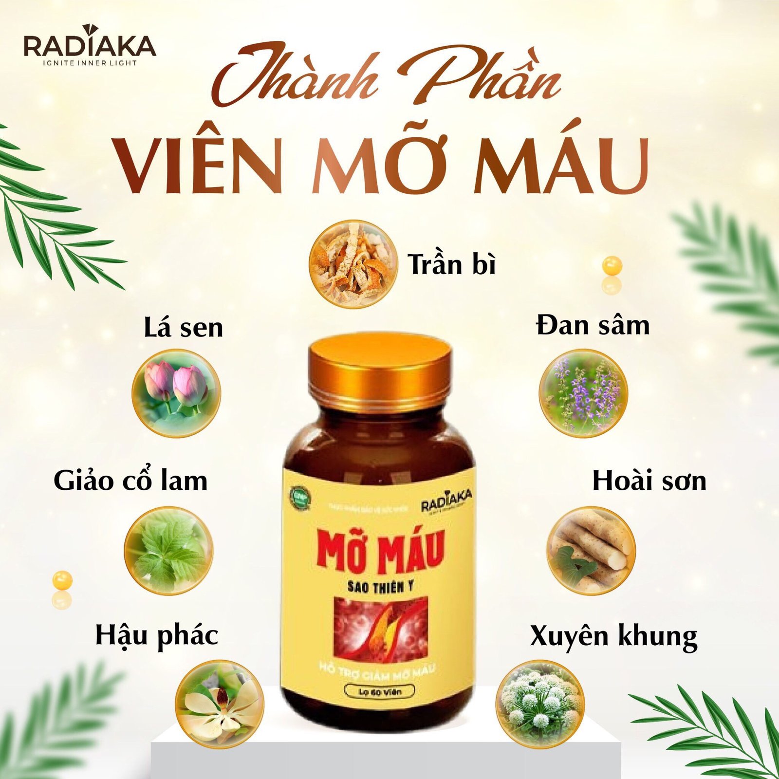 vien-mo-mau-sao-thien-y-radiaka-quynn.vn-2